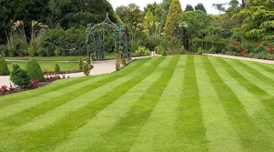 Gardening Landscaping